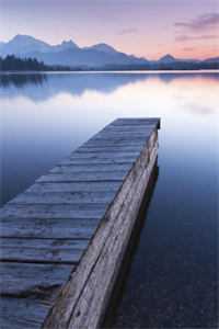 病弱美人身娇体软，疯批暴君强宠完整文集阅读