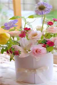 快穿：疯批女配杀疯了！精品篇