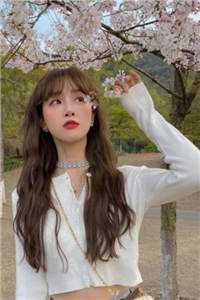 复仇计划！渣男敢惹我将门虎女畅读全文版