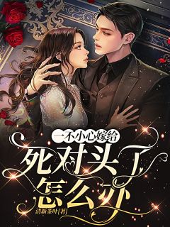 墨少的秘密婚妻