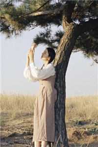 官途：从文旅科长开始畅读全文版