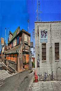 薄爷前妻带崽远走高飞